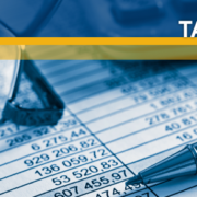 Corporate Income Tax Service